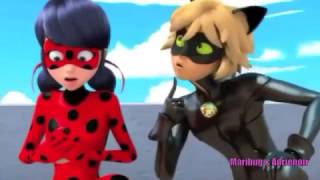 DESPACITO LUIS FONSI ft DADDY YANKEE  CAT NOIR & LADYBUG