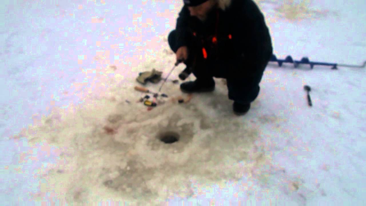 Burbot fishing daytime 3