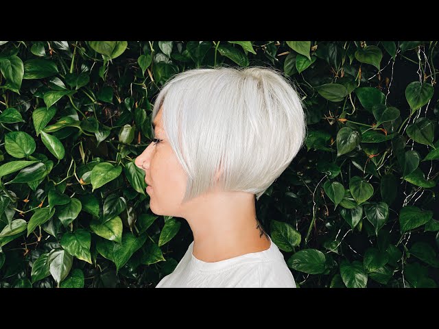 Creative Inspirations for Bob Haircut Styles : A Subtle Stack and Interior  Texturing