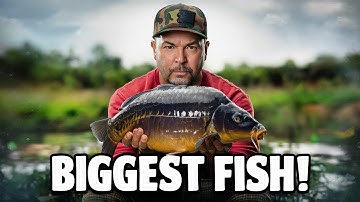 Catch Carp EASILY with these Tips and Tricks