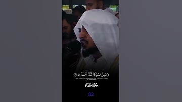 هيثم الدخين 🥀🤍 | تلاوة من سورة طة |