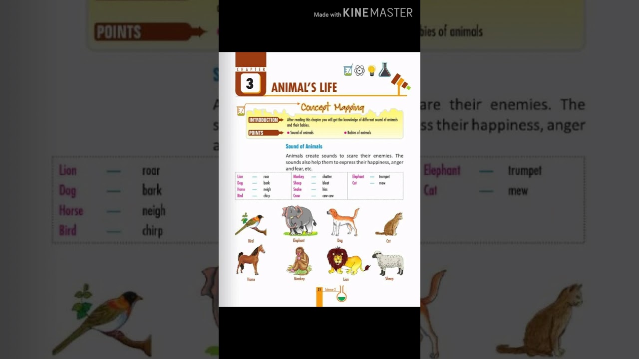 class 2 science chapter 3 animals life questions answeris explained