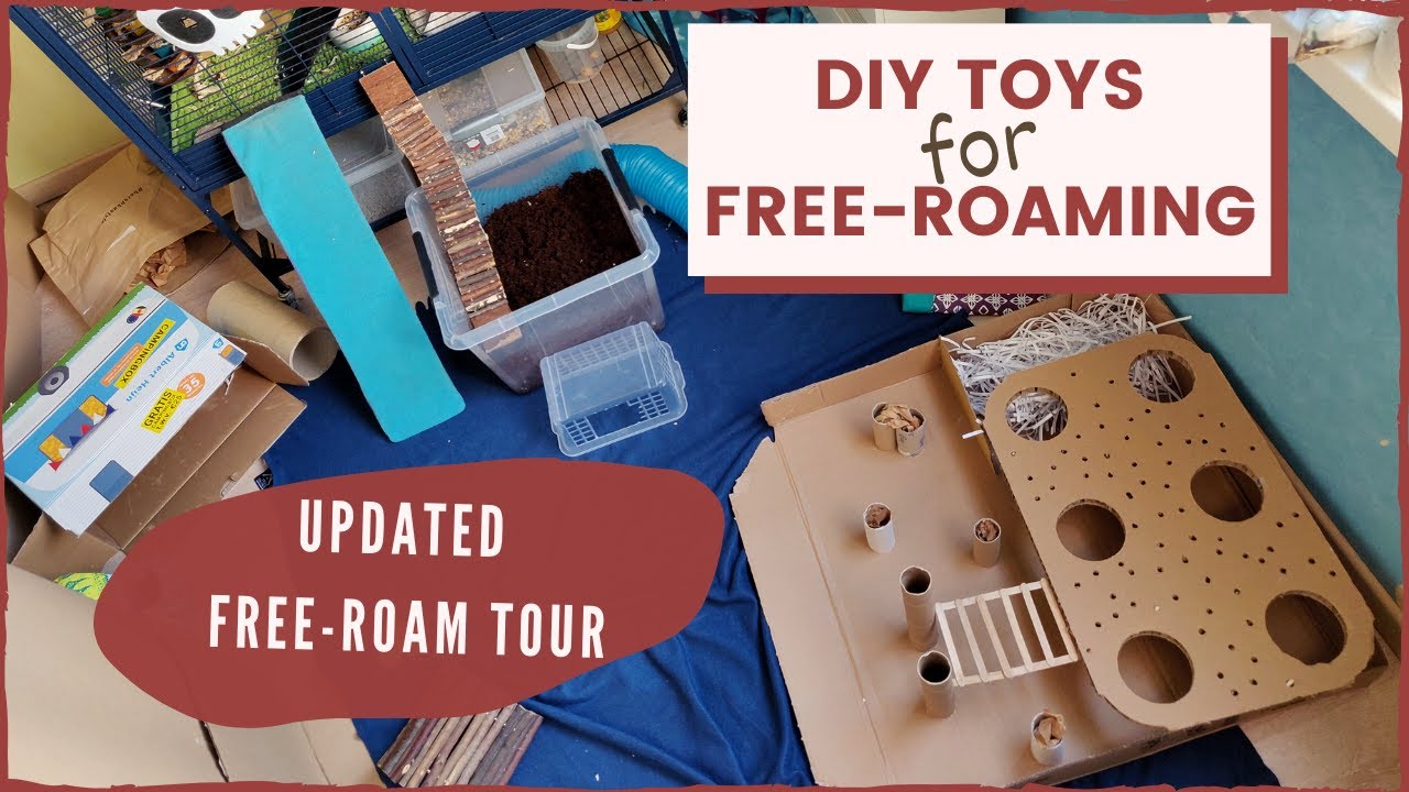 Diy Toys For Free Roam Area Updated