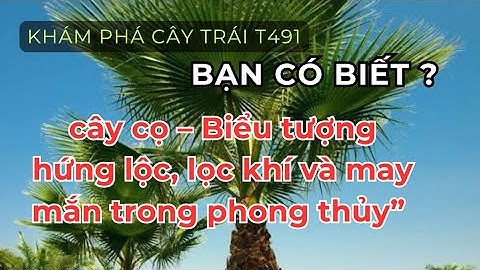 #vn491 cây cọ – Biểu tượng hứng lộc, lọc khí và may mắn trong phong thủy”#bts #cây #review #news 