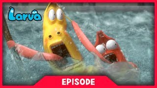 LARVA - FLOOD | Cartoon Movie | Cartoons For Children | Larva Cartoon | LARVA Official
