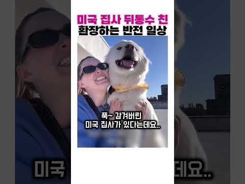 세상 얌전한 진도믹스의 숨겨진 사고 본능🤦‍♀️🤣 thumbnail