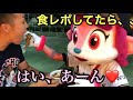 【神ファンサ】神戸で豚丼を食レポしていたらベルちゃんから猛アタックされた