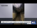Secret tunnel discovery in NYC synagogue leads to brawl with NYPD | NBC New York