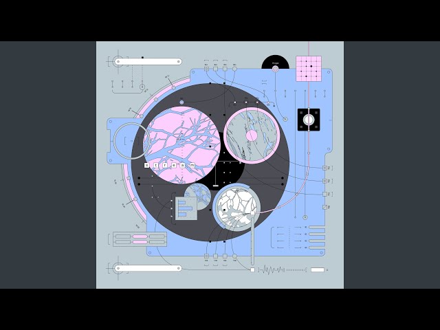 ハツコイソウ - YouTube