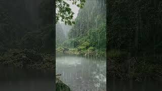 Rain Sounds for Sleeping, Deep Sleep, Relaxation, Insomnia Relief #deepsleep#rainsounds #sleepsounds