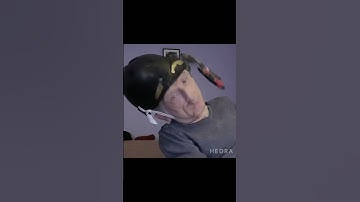 Digital nomad #yshorts #youtubemusic #funny #makemusic #musicvideo