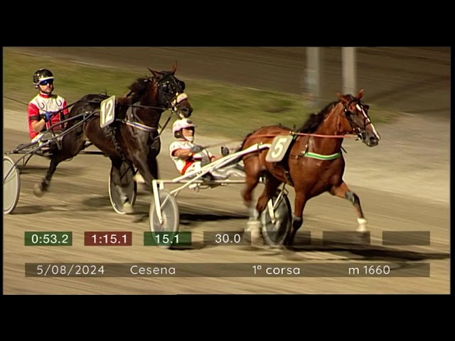 2024 08 05 | Corsa 1 | Metri 1660 | Premio Bikini Algida
