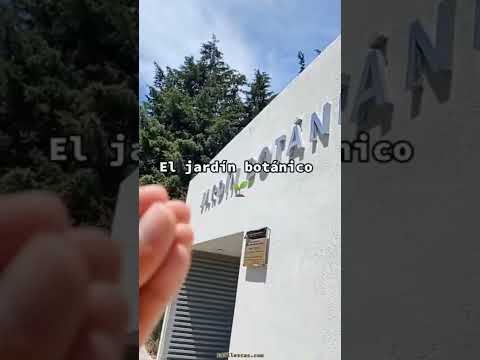 Video: Sveučilišni kampus (Ciudad Universitaria) opis i fotografije - Meksiko: Mexico City