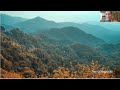 Natasha Johl, Photographic Artist the transformative power of art in Feng Shui with Suzanne Roynon