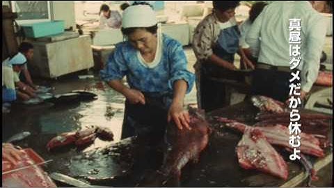 映画『老人と海』予告編