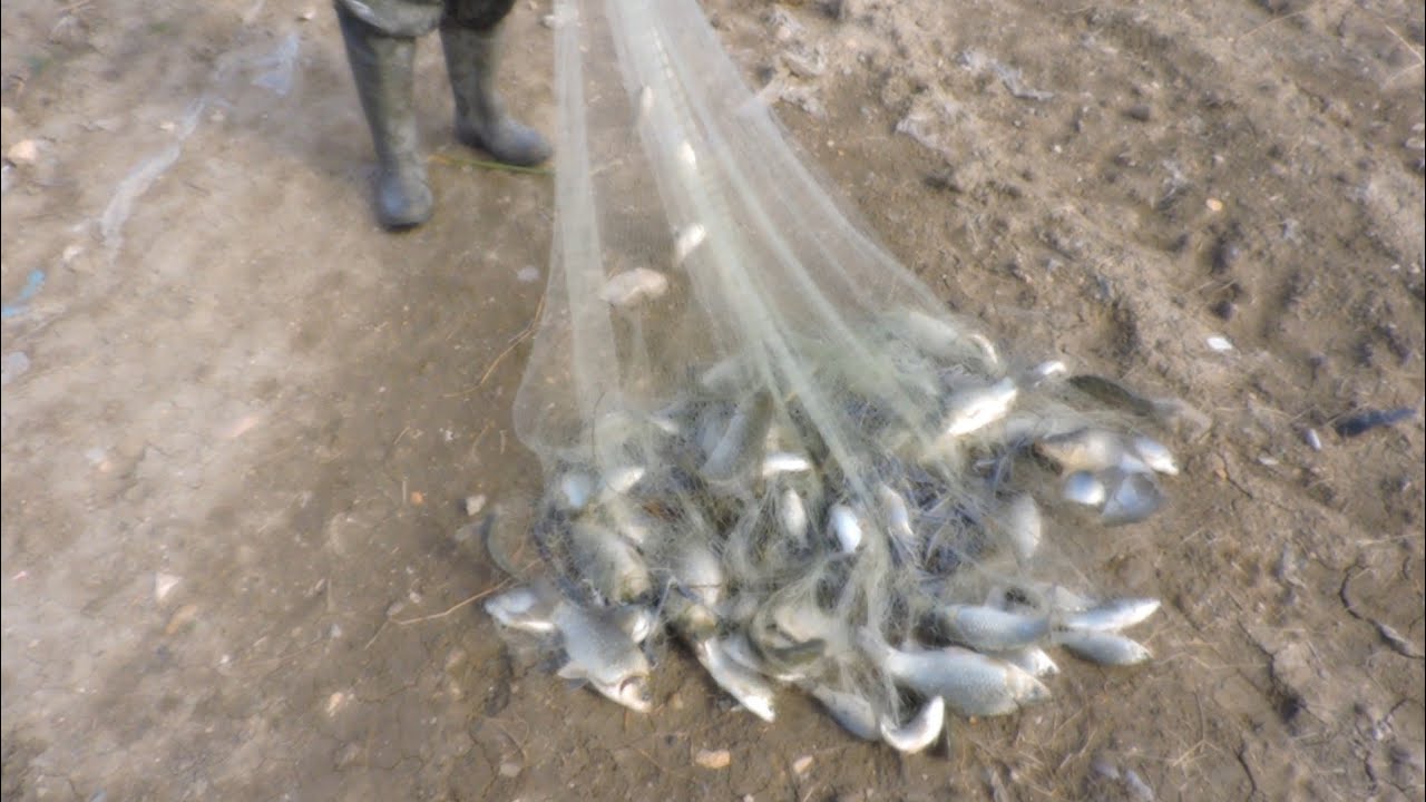 adana tuzla serpme avı #serpme #sazanavı #balık