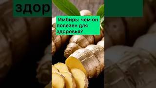 Имбирь: чем он полезен для здоровья?