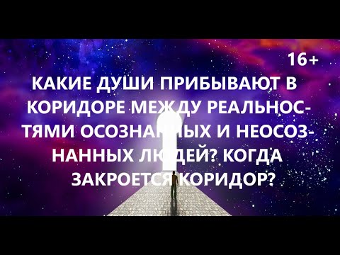 Какие души прибывают в коридоре между реальностями осознанных и ...