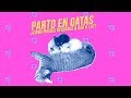 Tu gata va a dar a luz. Ayuda a que nazcan sus gatitos 😽 🍼👩‍⚕️ | ¿Qué puede salir mal?