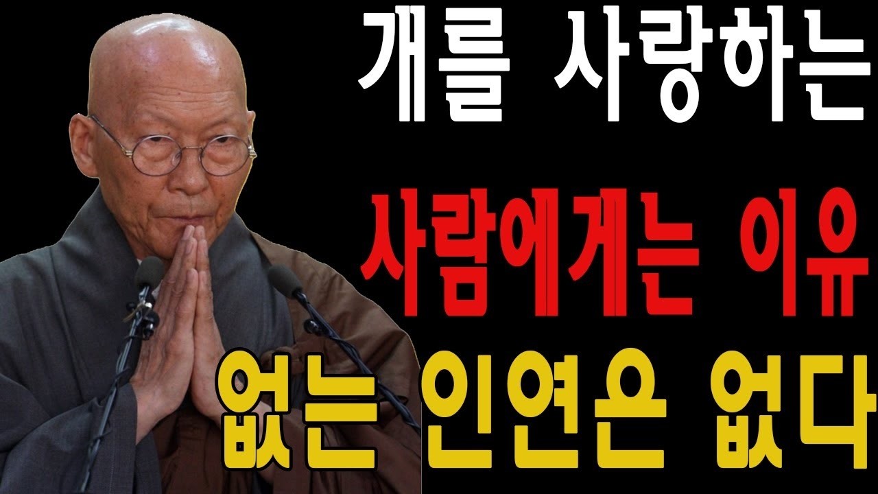 개를 사랑하는 사람에게는 이유 없는 인연은 없다    법정 스님 지혜   불교   인생명언   평온한 삶   무소유   행복한 노후