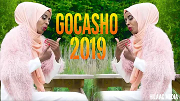 HANI YEETA | GOCASHO 2019 | HEES CUSUB (AUDIO)