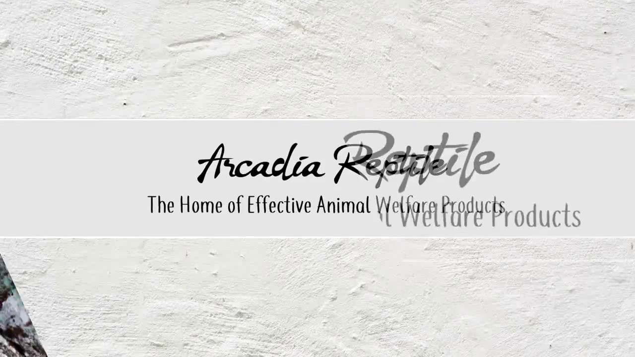 Arcadia Reptile Deep Heat Projector YouTube
