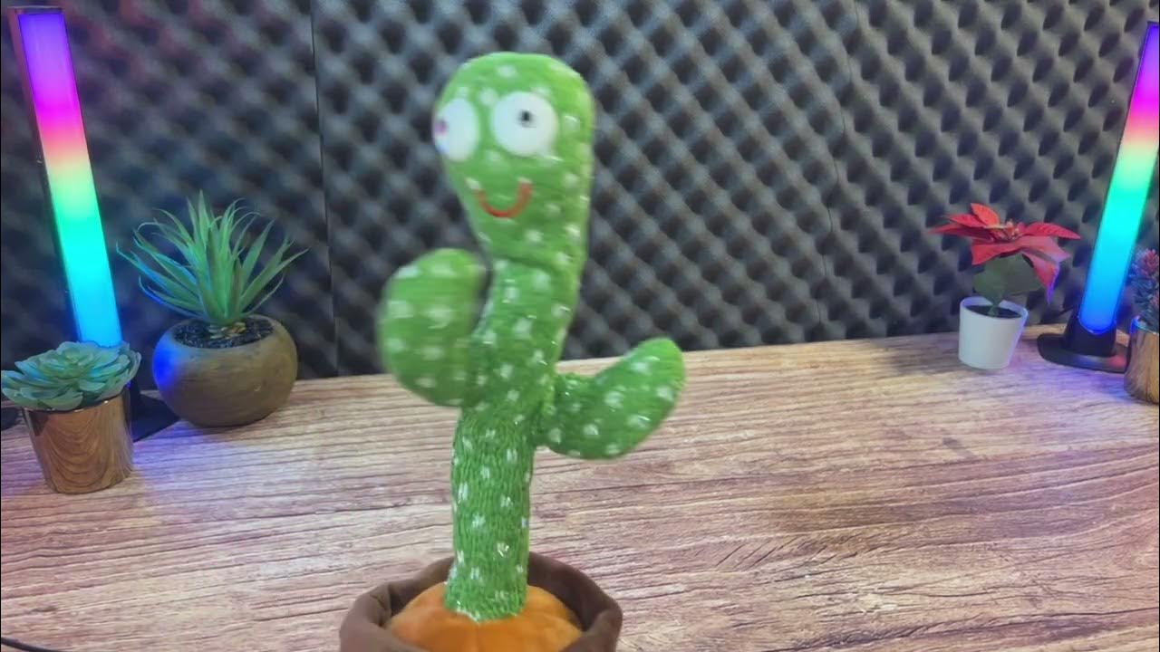 Jouet Cactus Qui Danse Et Parle Pour Bébé, Cactus Qui Bouge Et