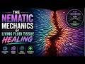 The Nematic Mechanics of Living Fluid Tissue Healing