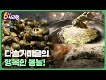 다슬기마을의 행복한 봄날! – 전북특별자치도 남원 | KBS 6시 내고향 240530