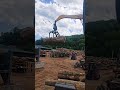 Splitting a Giant Log Using Free Fall Energy