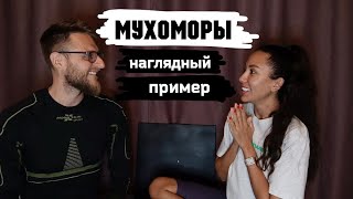 МУХОМОРЫ / Пробуждение ( второе рождение )