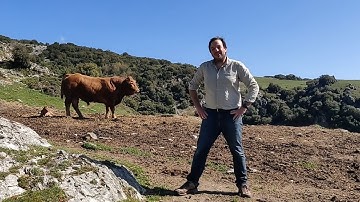 Database Group @ Gitlab - looking for backend engineers - Noisy Cows version