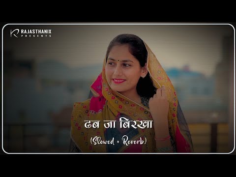 Dhab Ja Birkha Slowed Reverb ढब ज ब रख Rajasthani Lofi Song Rajasthani Song Marwadi Song