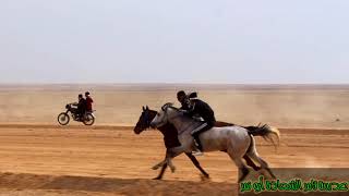 مهرجان الخيول العربية في مدينة الشعفة  إدارة سباقات الشعفة مضمار دير الزور في مدينة الشعفة