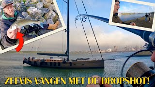 How to: Dropshot Zeevissen in IJmuiden. FishVlog 185#.