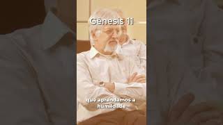 Genesis 11 - Mensagem  #frasesdabiblia #devotional