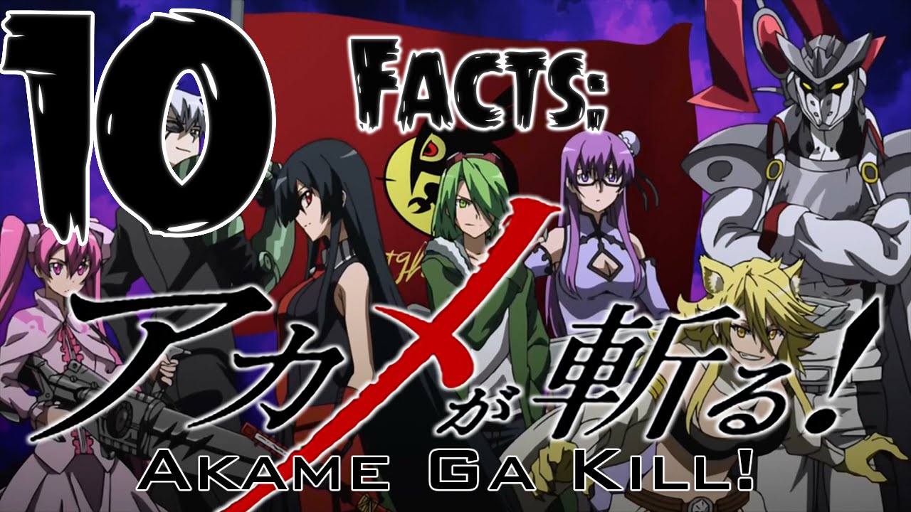 12 Most Popular Characters in the Anime Akame Ga Kill! Do you have a  favorite?