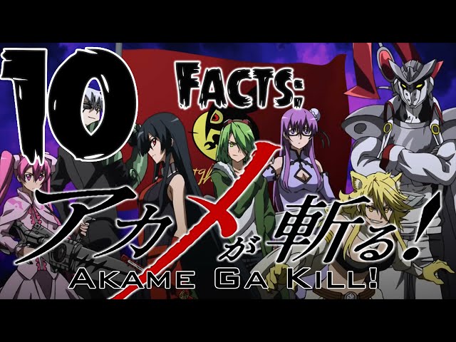 15 Unknown Facts About Akame Ga Kill