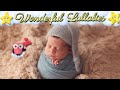 Lullaby For Babies To Go To Sleep Faster ♥ Sweet Dreams