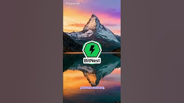 “BitNest Is Paying — Are You Going to Stay Out? 💸🔥”