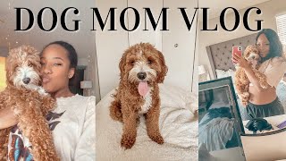 DAY IN MY LIFE (As a Cavapoo Dog Mom)
