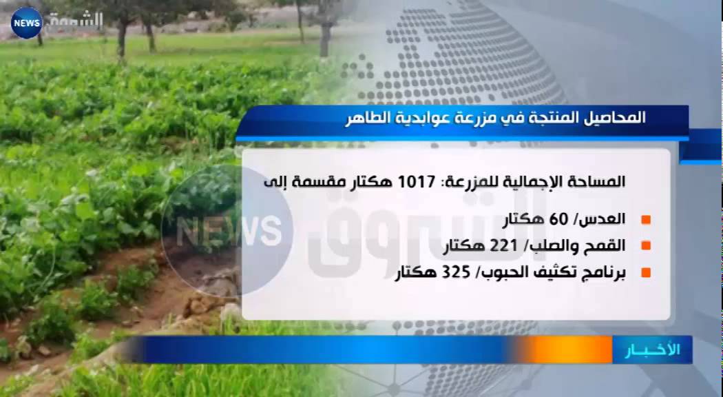 أم البواقي / جنة في الأرض موطنها مزرعة العوابدية الطاهر بأولاد حملة