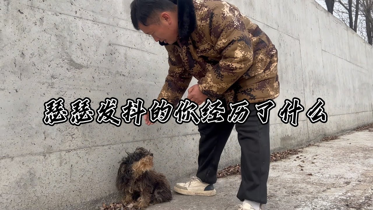 壹場出逃，壹番躲藏，找到它時只剩渾身顫抖