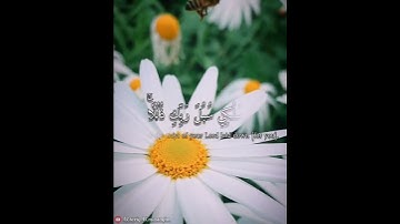 سورة النحل - القارئ : سعيد الخطيب