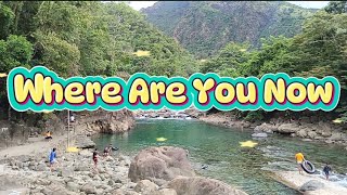 Where Are You Now || Honor Society || Cover by Lei Arbis Vlog