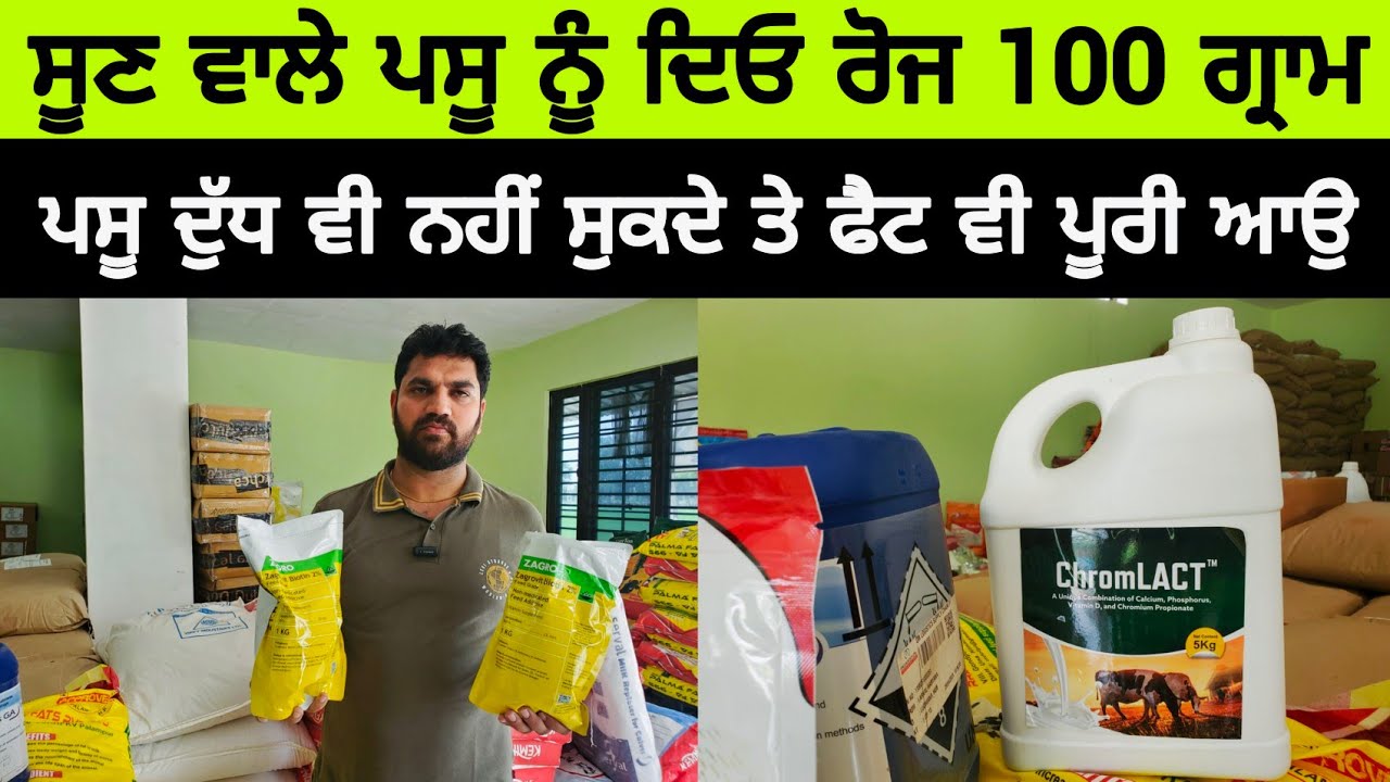 ਪਸੂ ਦੁੱਧ ਵੀ ਨਹੀਂ ਸੁਕਦੇ ਤੇ ਫੈਟ ਵੀ ਪੂਰੀ ਆਉ | MILK BOOSTER FOR DAIRY FARM | COW MILK BOOSTER