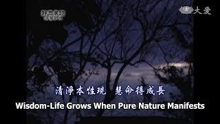 【靜思晨語法譬如水】20110728 - 清淨本性現 慧命得成長 - 第102集