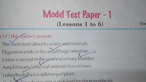 Class-4, Subject-Science, Video-33, Chapter-Model test paper-1,Part-1  by Mrs Varsha