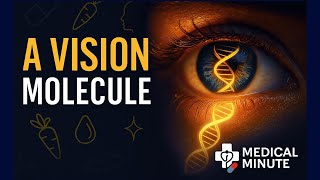 Vitamin A 101: The Vision Molecule