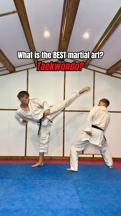 What is the BEST martial art?
